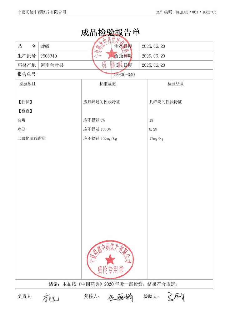 2506340蟬蛻.jpg